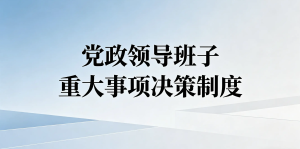 2026 版党政领导班子重大事项决策制度 | 医院党建 民主集中制