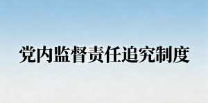 党内监督责任追究制度｜医院党建 党风廉政建设 全面从严治党