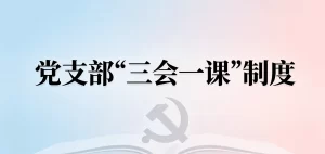 医院党支部“三会一课”制度（2026版）