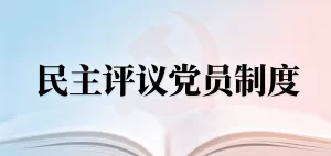 医院民主评议党员制度（2026版）