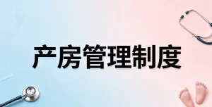 医院产房管理制度模板范文2026年新版