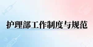 2026年医院护理部工作制度与规范