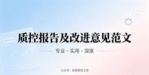 质控报告及改进意见范文汇编